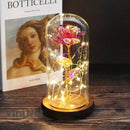 Rosa Love Led - Rosa Encantada na Cúpula de Vidro